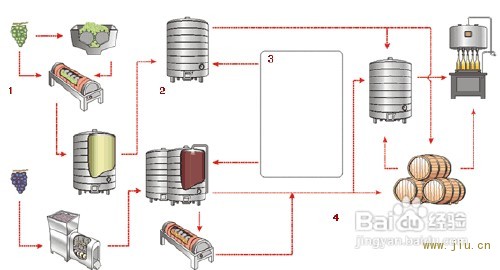 白葡萄酒的酿造过程