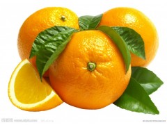 柑橘剥皮机/柑橘果汁设备/柑橘果酒设备/佰事得机械图3