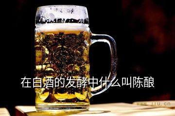 在白酒的发酵中什么叫陈酿